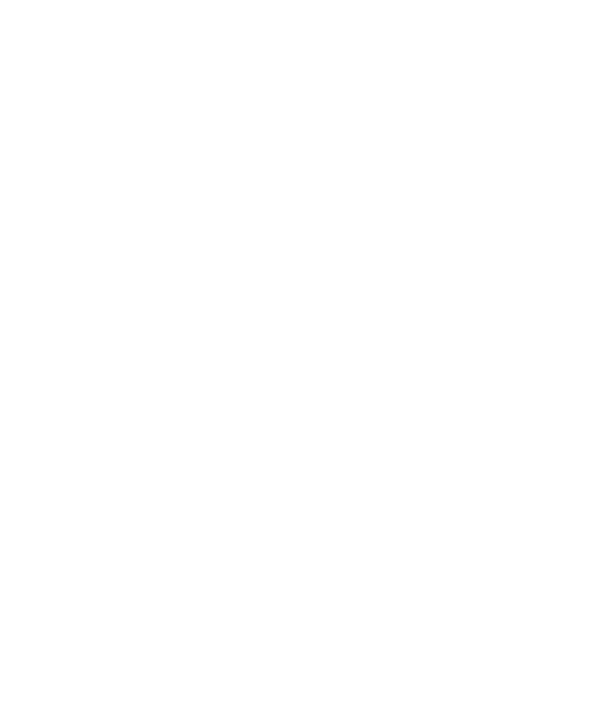 auyan-logo